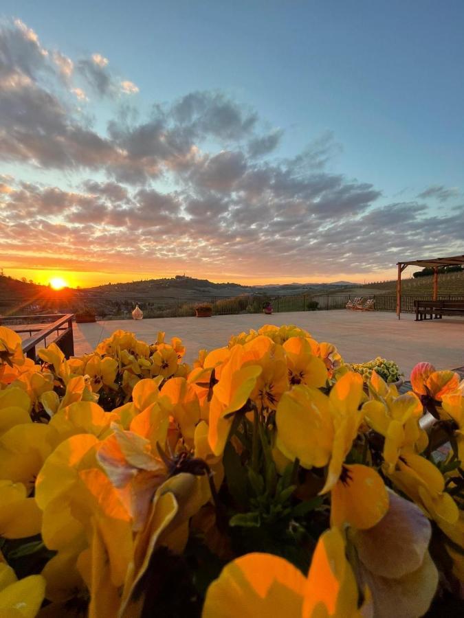 Agriturismo Ca Del Nono San Marzano Oliveto Ngoại thất bức ảnh